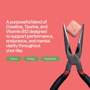 vybrance-labs-3-in-1-creatine-monohydrat-5.jpg