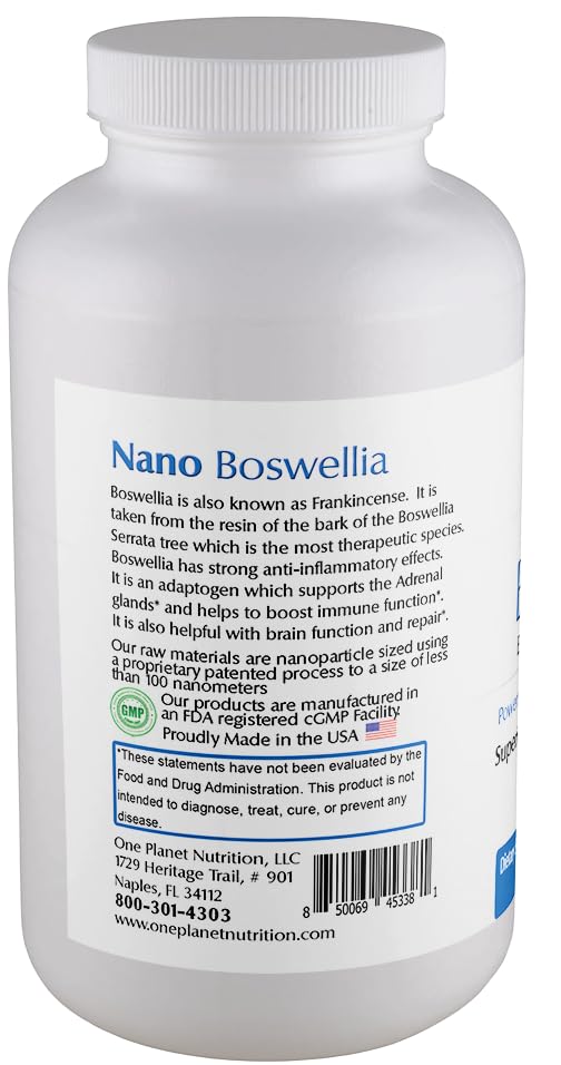 one-planet-nutrition-nano-brain-500-mg-c-3.jpg