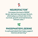 neuriva-original-brain-supplement-for-me-6.jpg