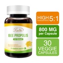 lovita-propolis-capsule-800mg-5-1-concen-2.jpg
