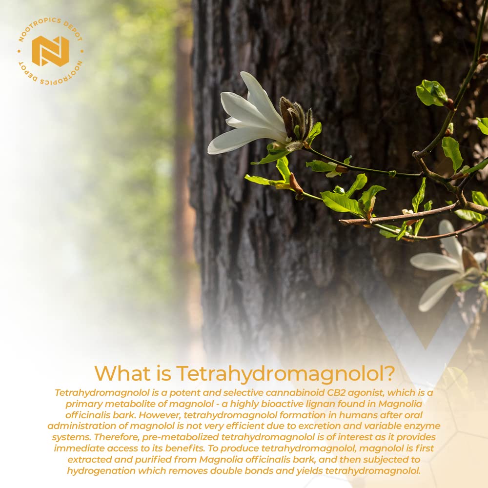 nootropics-depot-tetrahydromagnolol-quic-6.jpg