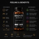 magn-t-alcohol-alternative-nootropic-sup-6.jpg