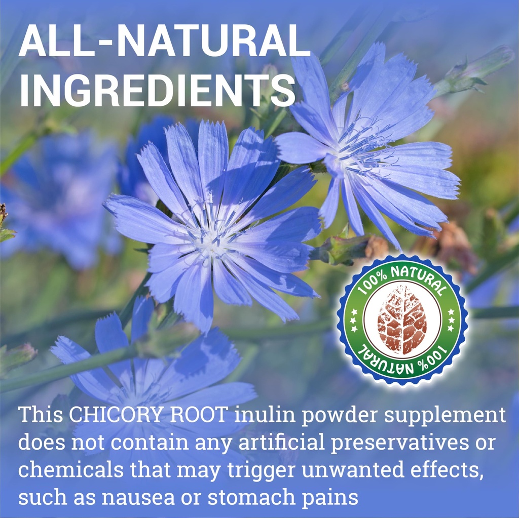 herbalicious-chicory-root-supplement-org-2.jpg