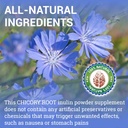 herbalicious-chicory-root-supplement-org-2.jpg