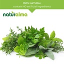 naturalma-barberry-berberis-vulgaris-roo-4.jpg