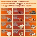 focus-gummies-with-12-mushrooms-lion-s-m-4.jpg