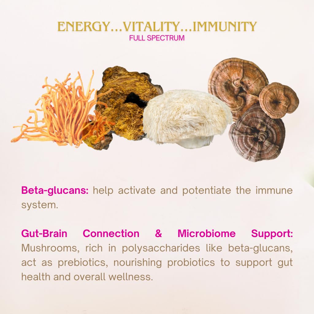 eleven-tlc-lion-s-mane-mushroom-powder-o-6.jpg
