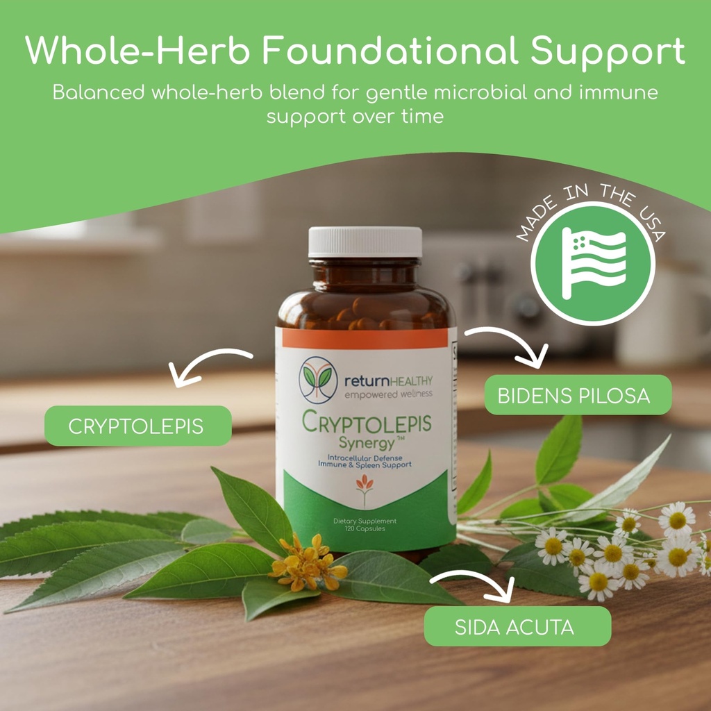 cryptolepis-synergy-immune-support-vitam-2.jpg