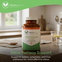 cryptolepis-synergy-immune-support-vitam-6.jpg