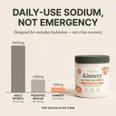 electrolytes-for-kids-sugar-free-hydrati-6.jpg