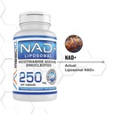maac10-liposomal-nad-180-x-250mg-capsule-6.jpg