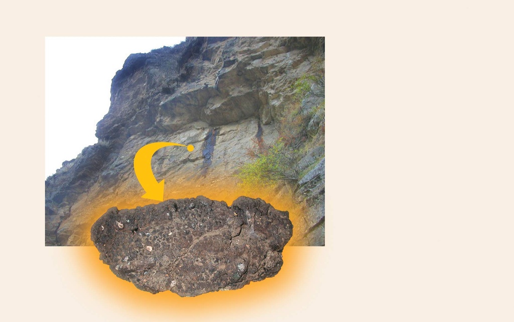 dragon-herbs-high-mountain-shilajit-450--6.jpg