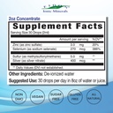 eidon-immune-support-supplement-liquid-c-2.jpg