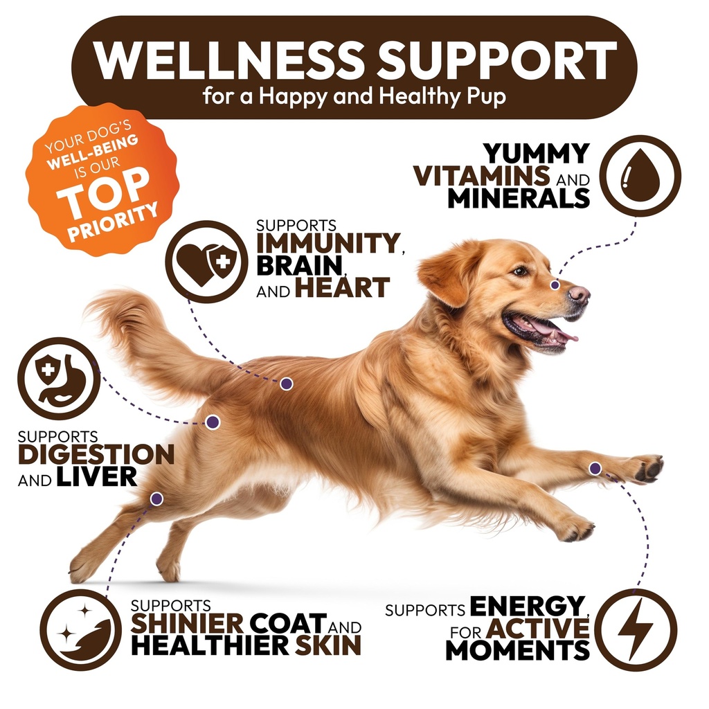2-pack-turkey-tail-mushroom-for-dogs-340-4.jpg