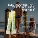 focus-caffeine-electrolyte-drink-mix-cog-3.jpg