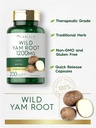 carlyle-wild-yam-root-capsules-200-count-3.jpg