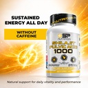sp-nutrition-shilajit-fulvic-acid-1000mg-6.jpg