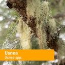 herb-pharm-usnea-liquid-extract-for-clea-6.jpg