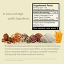 blend-no1-6-mushroom-blend-tincture-reis-5.jpg