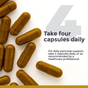 premier-research-labs-pancreven-pancreas-5.jpg