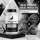 1-pack-horse-gelatin-capsules-official-h-6.jpg