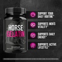 2-pack-horse-gelatin-capsules-official-h-3.jpg