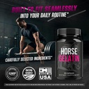 2-pack-horse-gelatin-capsules-official-h-5.jpg