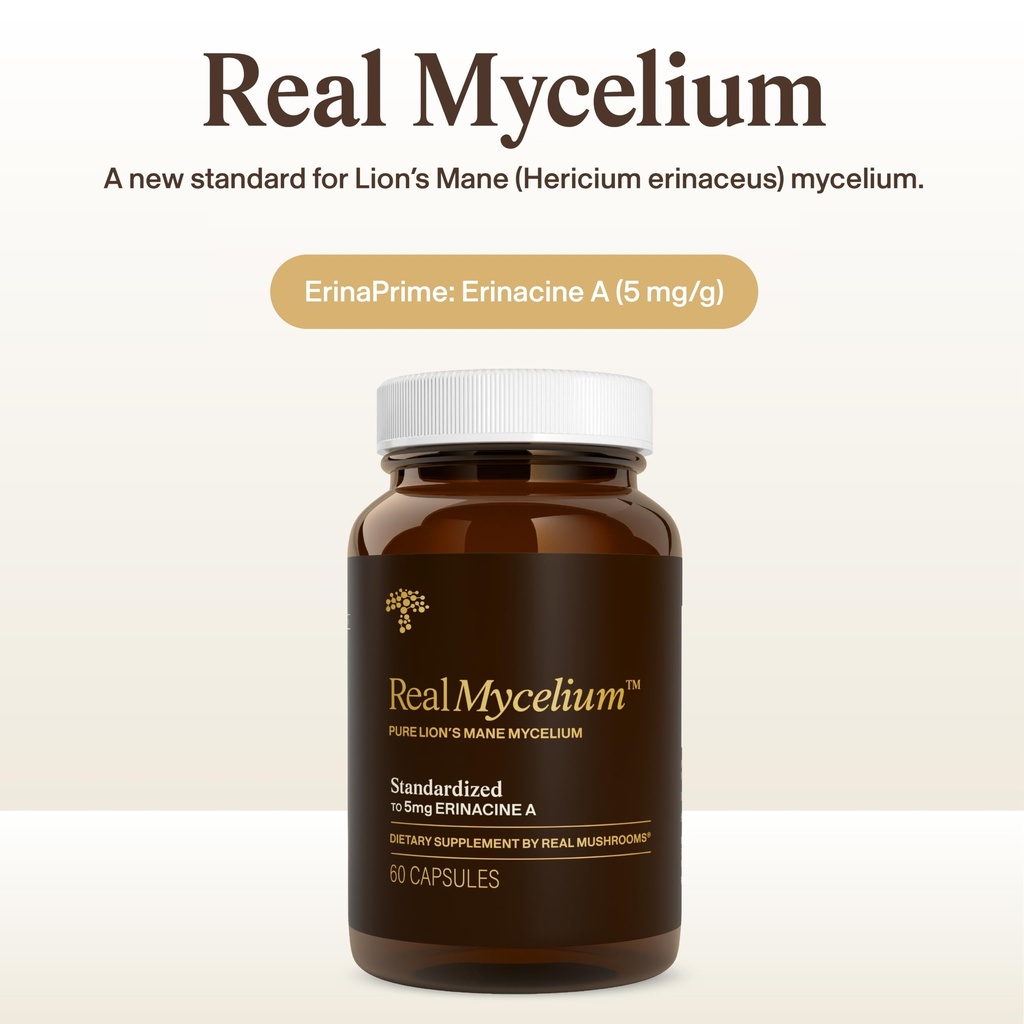 real-mushrooms-real-mycelium-standardize-2.jpg