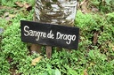 raw-garden-dragon-s-blood-original-100-p-6.jpg