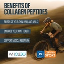 bubs-naturals-unflavored-collagen-peptid-3.jpg