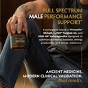 tribe-organics-ashwagandha-gold-for-men--5.jpg