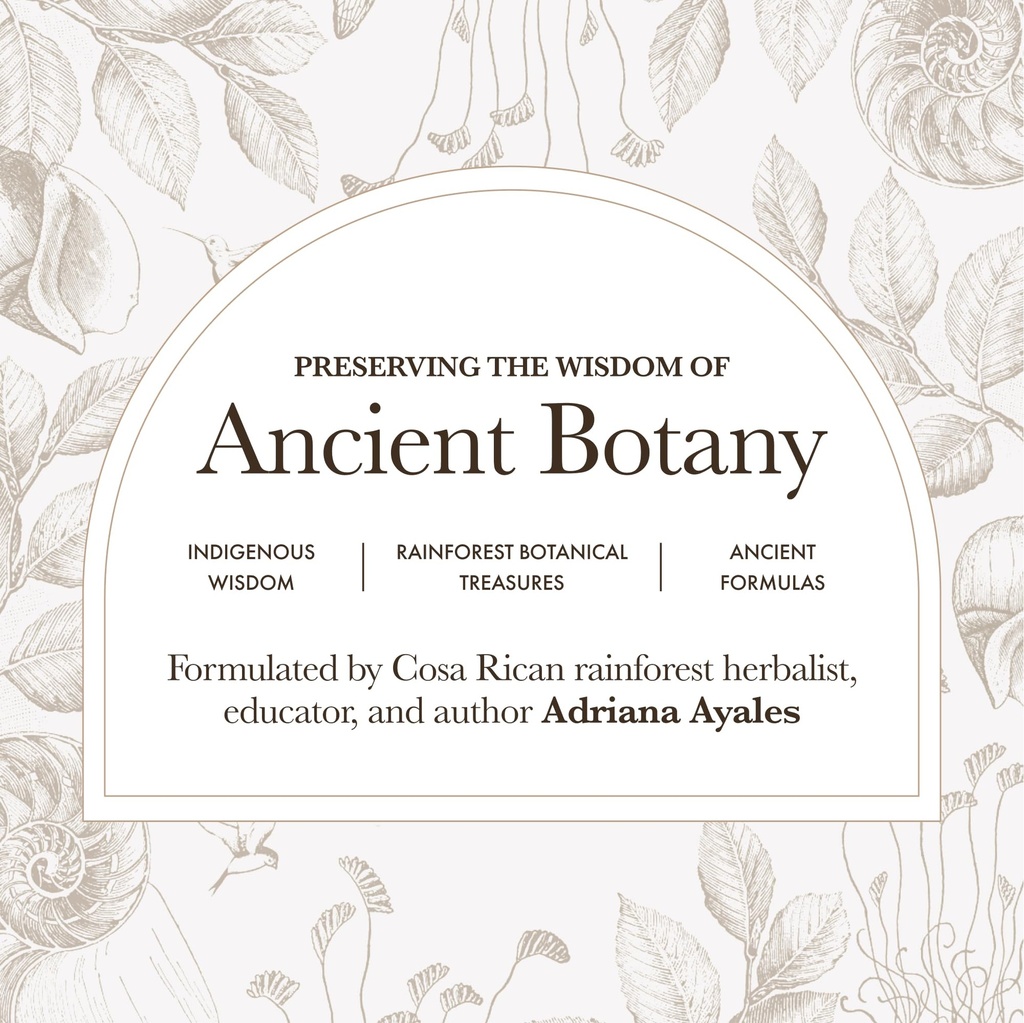 anima-mundi-apothecary-schisandra-rose-e-6.jpg
