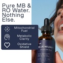 zab-methylene-blue-drops-supplement-usp--2.jpg