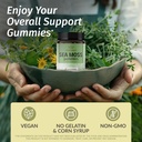herbamama-sea-moss-and-mullein-leaf-kit--2.jpg