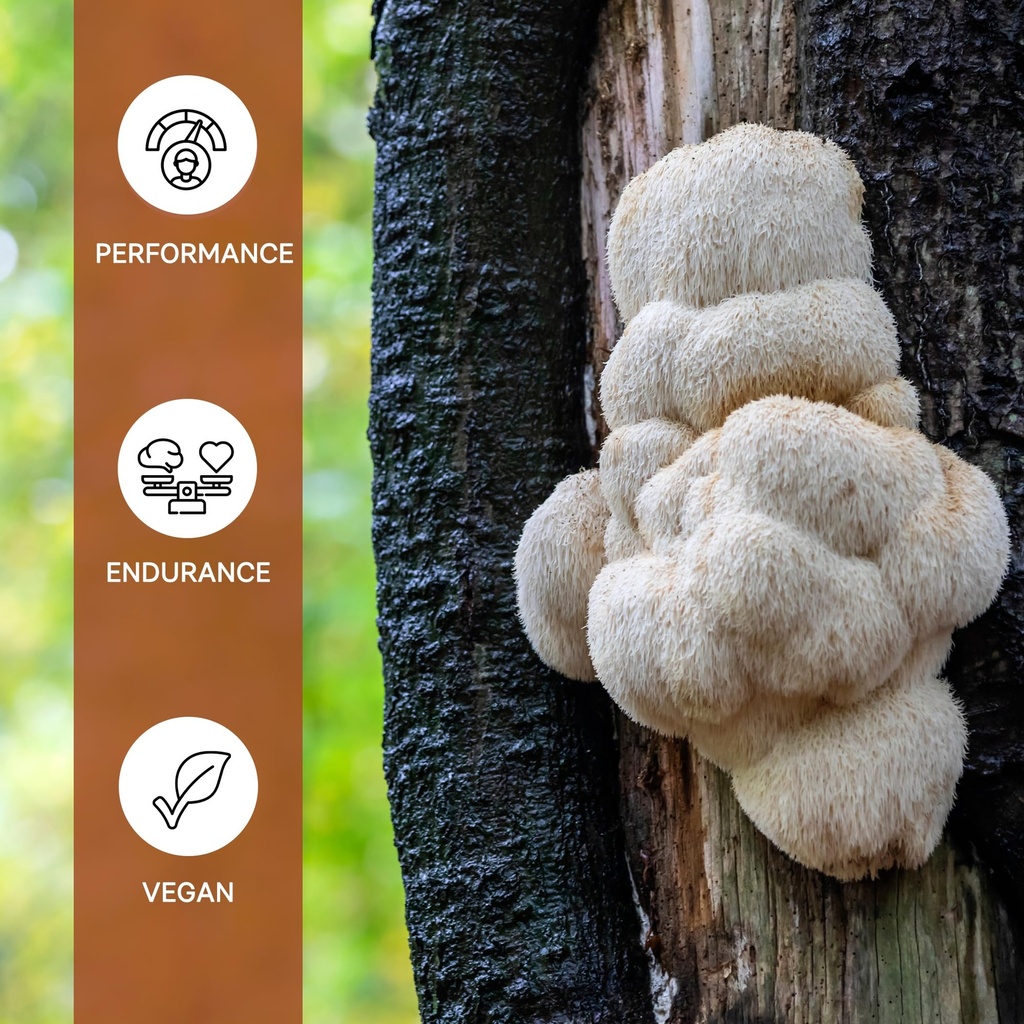 lions-mane-mushroom-extract-capsules-hig-6.jpg