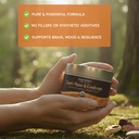 lion-s-mane-cordyceps-mushroom-extract-p-5.jpg