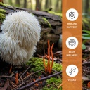 lion-s-mane-cordyceps-mushroom-extract-p-6.jpg