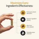 6-in-1-advanced-brain-formula-focus-memo-6.jpg