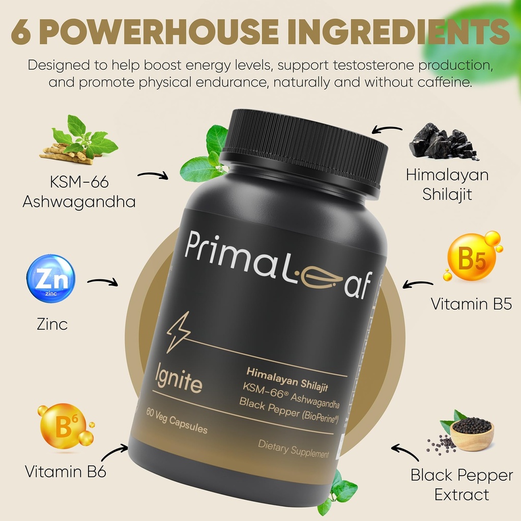 ignite-energy-performance-supplement-nat-4.jpg