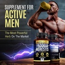 earth-elixir-fadogia-agrestis-supplement-4.jpg