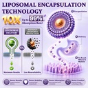 25-in-1-liposomal-2500mg-cortisol-supple-5.jpg