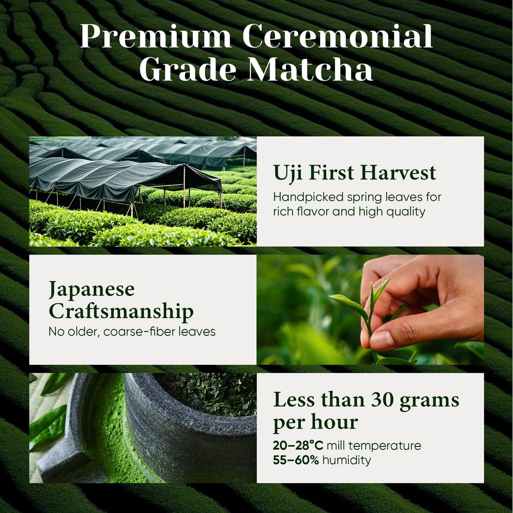 venture-pal-ceremonial-grade-matcha-powd-4.jpg