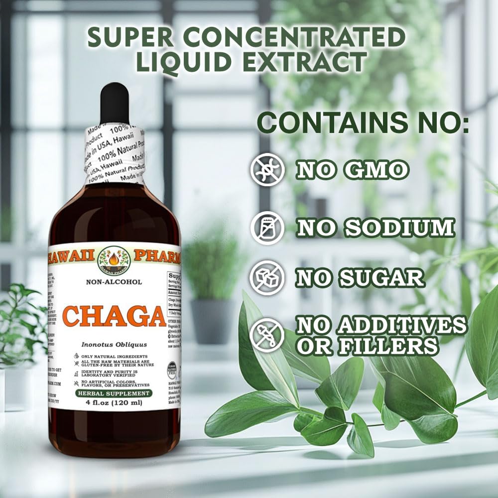 chaga-inonotus-obliquus-dry-whole-mushro-6.jpg