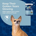 naturvet-senior-advanced-5-in-1-support--3.jpg