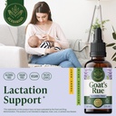 herbamama-goat-s-rue-tincture-vegan-lact-2.jpg