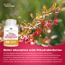 pure-nootropics-dihydroberberine-supplem-4.jpg