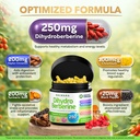 dihydroberberine-extract-250-mg-glucovan-2.jpg