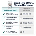 revgenetics-berberine-supplement-500mg-d-4.jpg