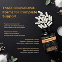 magnesium-supplement-for-energy-triple-m-4.jpg