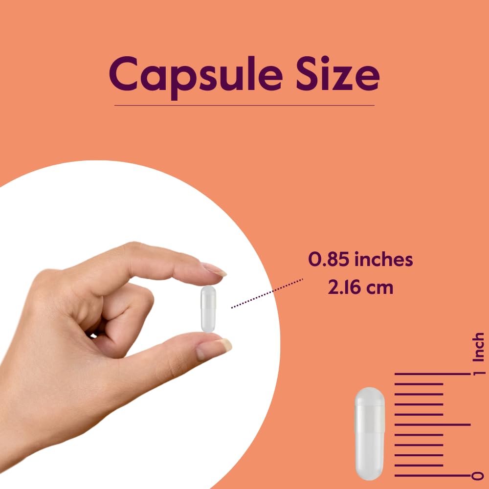 bestvite-l-carnosine-500mg-240-capsules--6.jpg